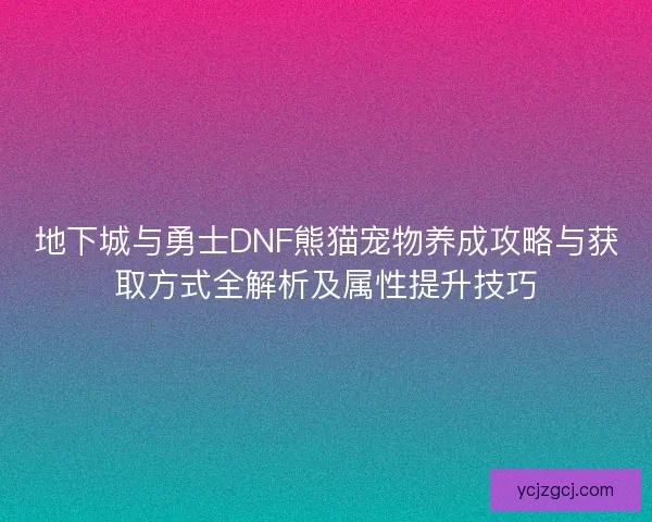 地下城与勇士DNF熊猫宠物养成攻略与获取方式全解析及属性提升技巧